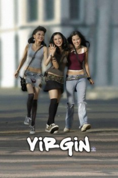 poster Virgin  (2004)